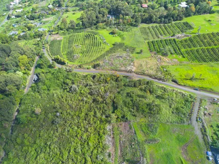 a view of a garden with a lake