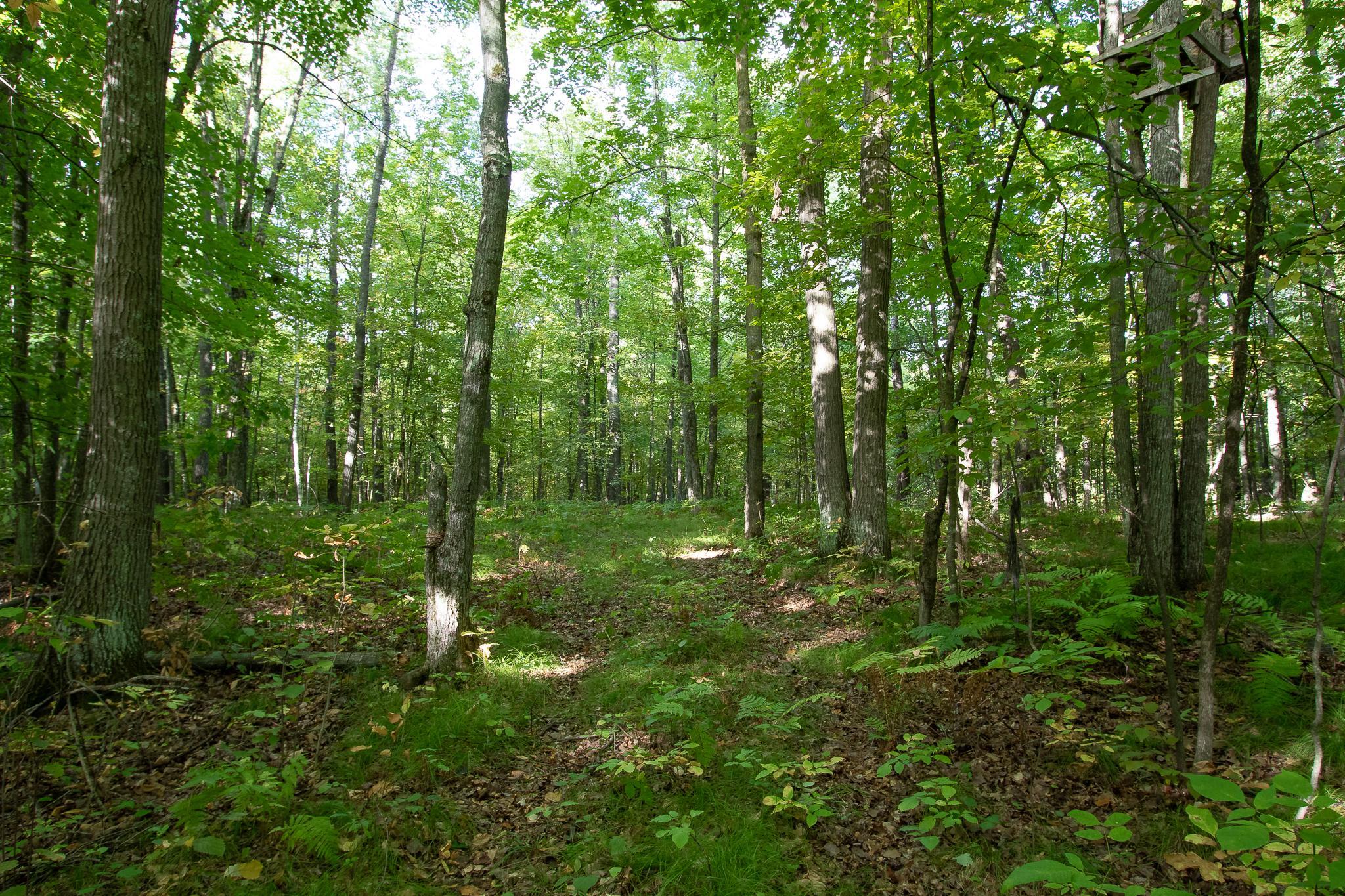 48329 Olson Road Hinckley, MN 55037 - Photo 14 of 23 Gallery Image 14