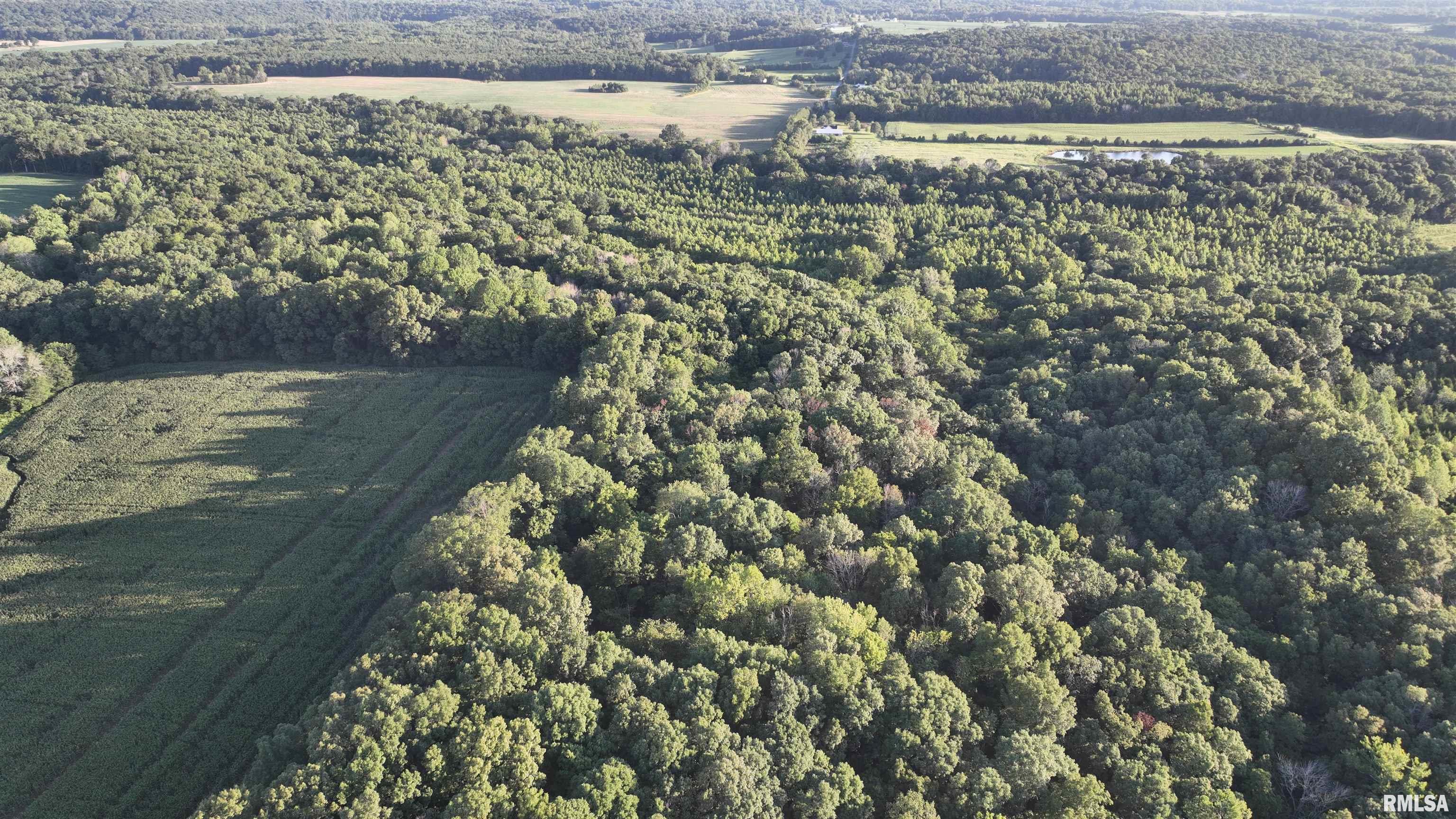 0 Flatwoods Road Simpson, IL 62985 - Photo 1 of 7