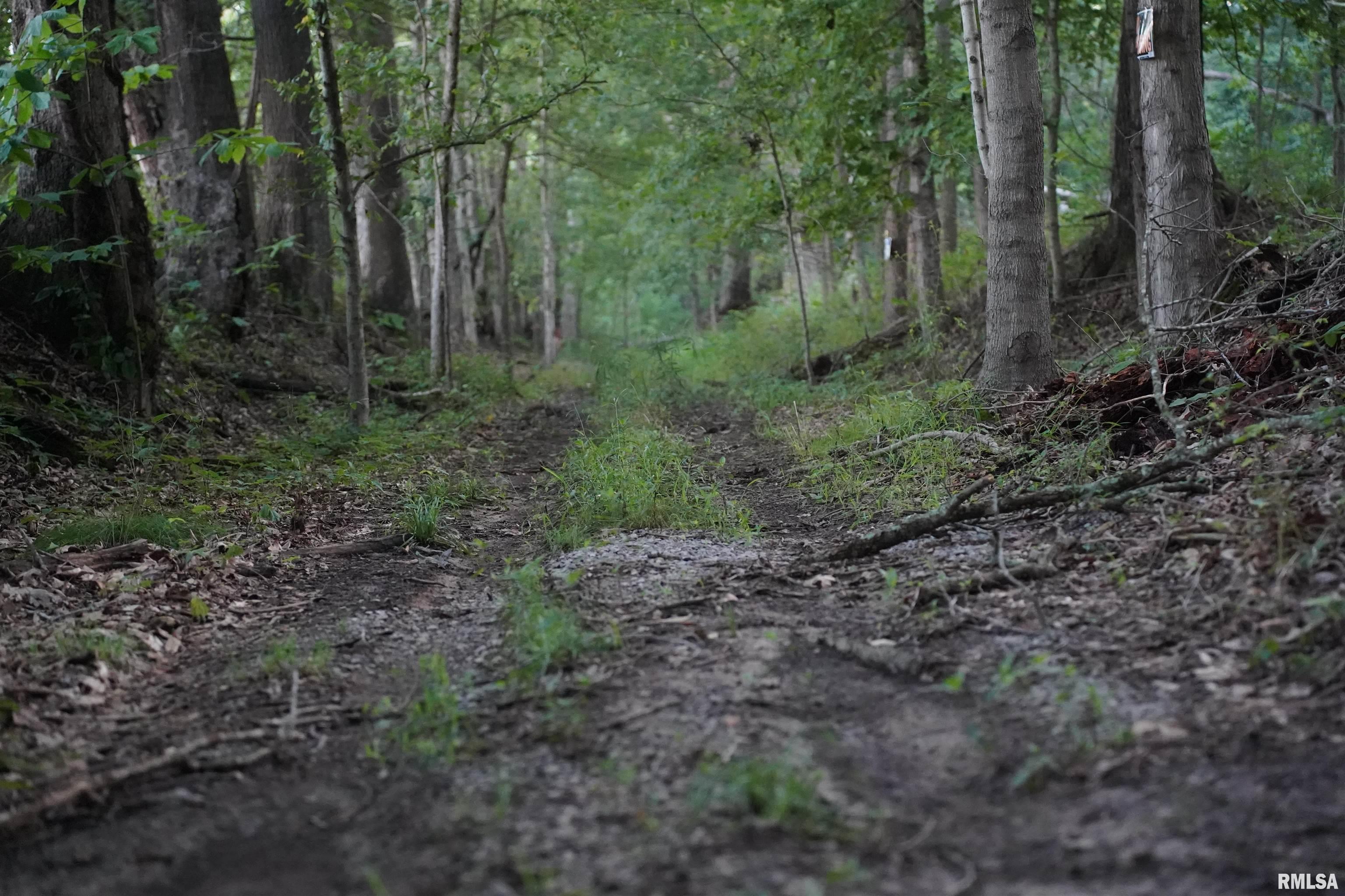 0 Flatwoods Road Simpson, IL 62985 - Photo 2 of 7