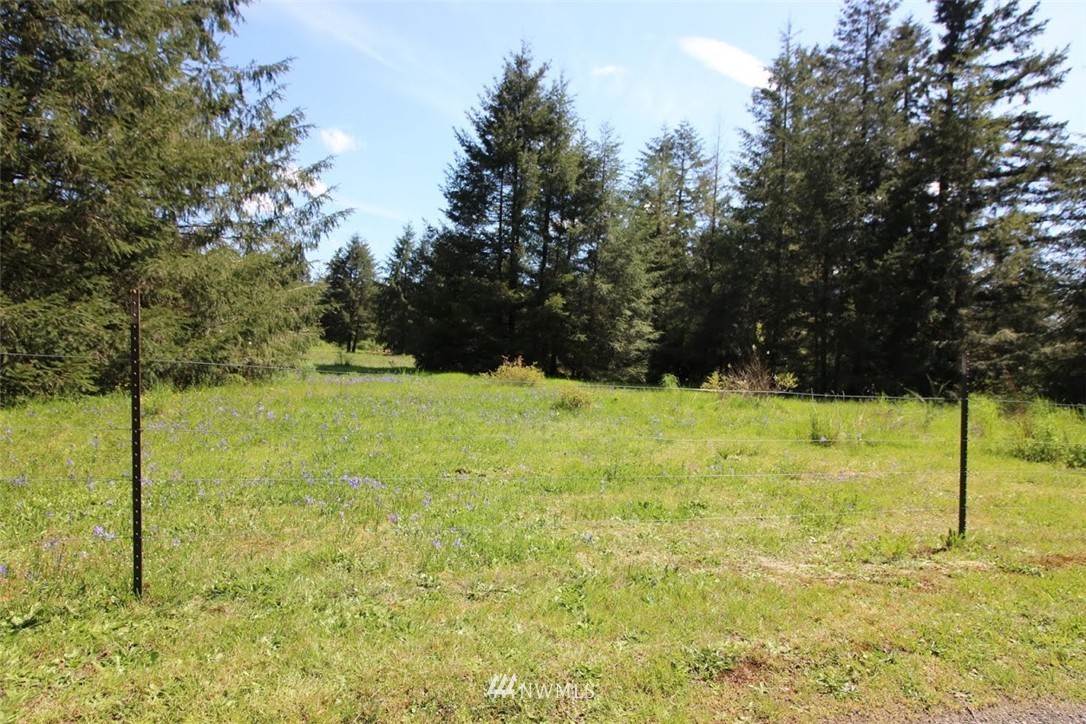 6226 Waldrick Road Southeast Olympia, WA 98513 - Photo 7 of 25 Gallery Image 7