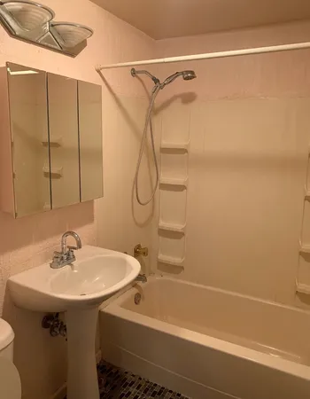 a bathroom with a sink a mirror and a shower
