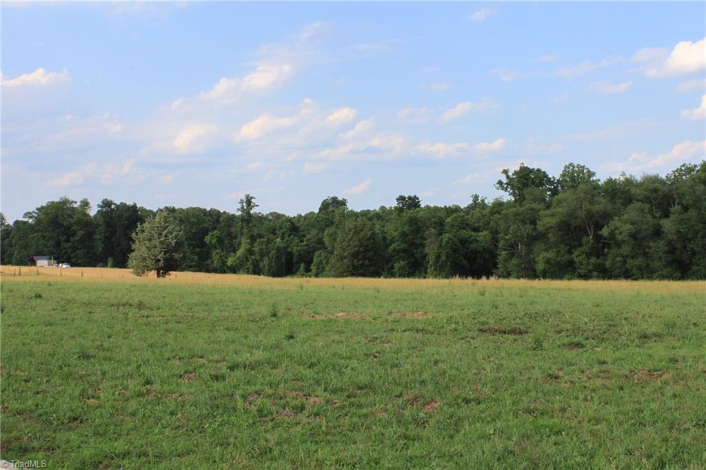 Tbd-3 Vestal Road Jonesville, NC 28642 - Photo 3 of 4 Gallery Image 3