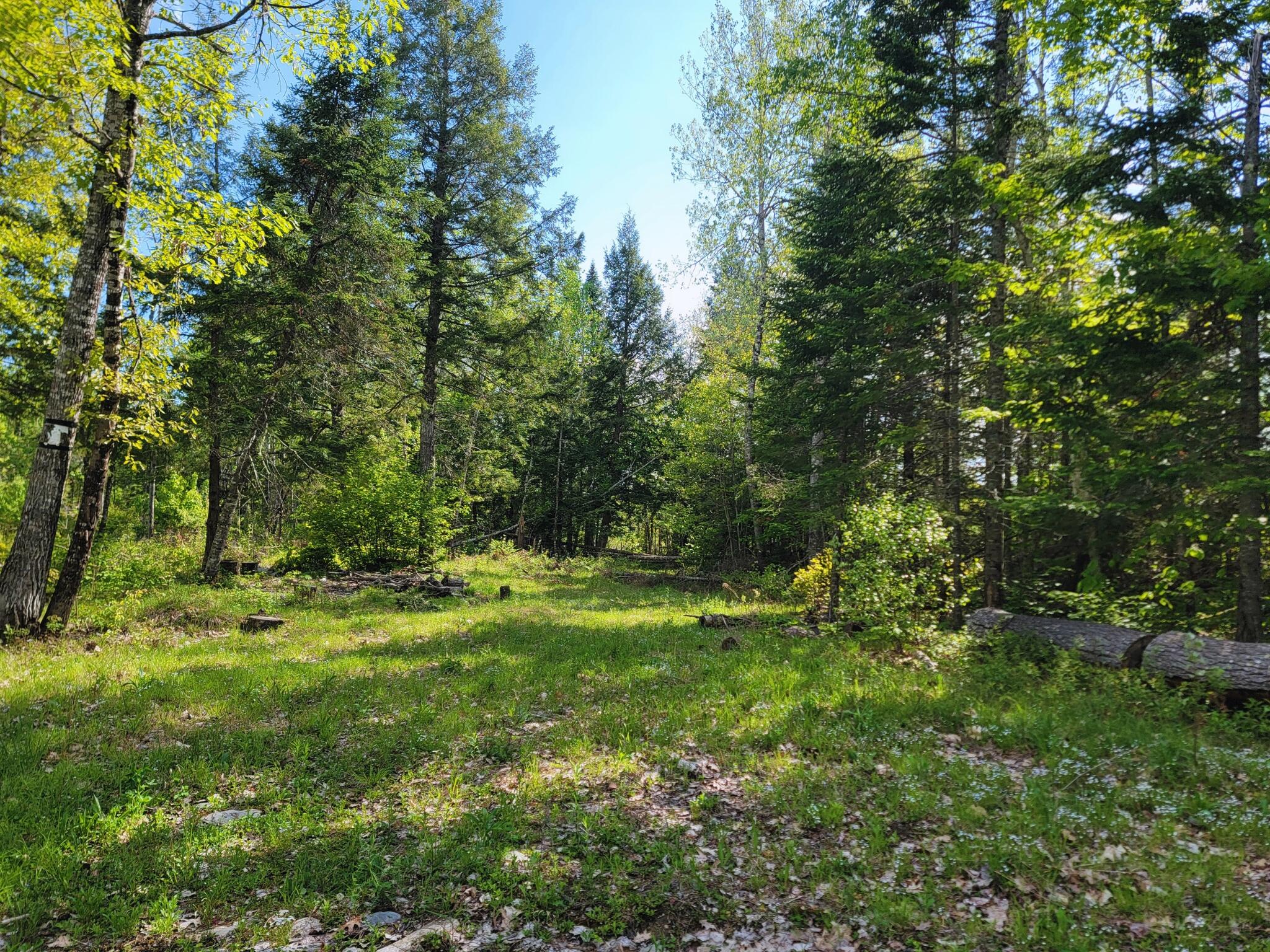 67 Bog Brook Road China, ME 04358 - Photo 2 of 12 Blueland pic 15