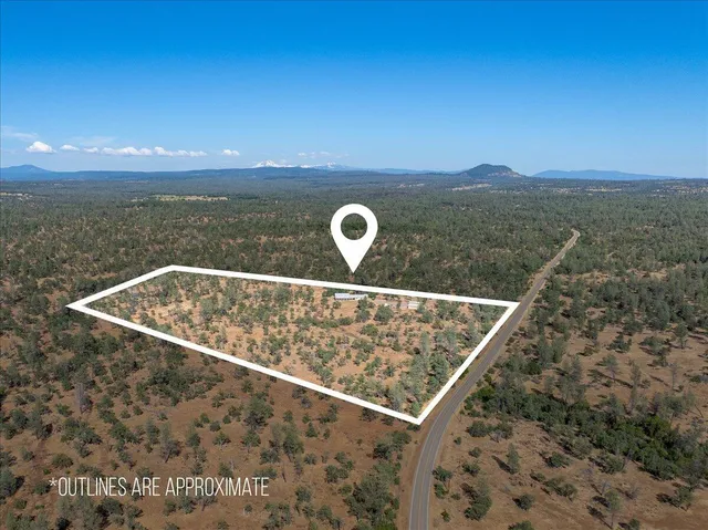 a living room with furniture ceiling fan and a wooden floor