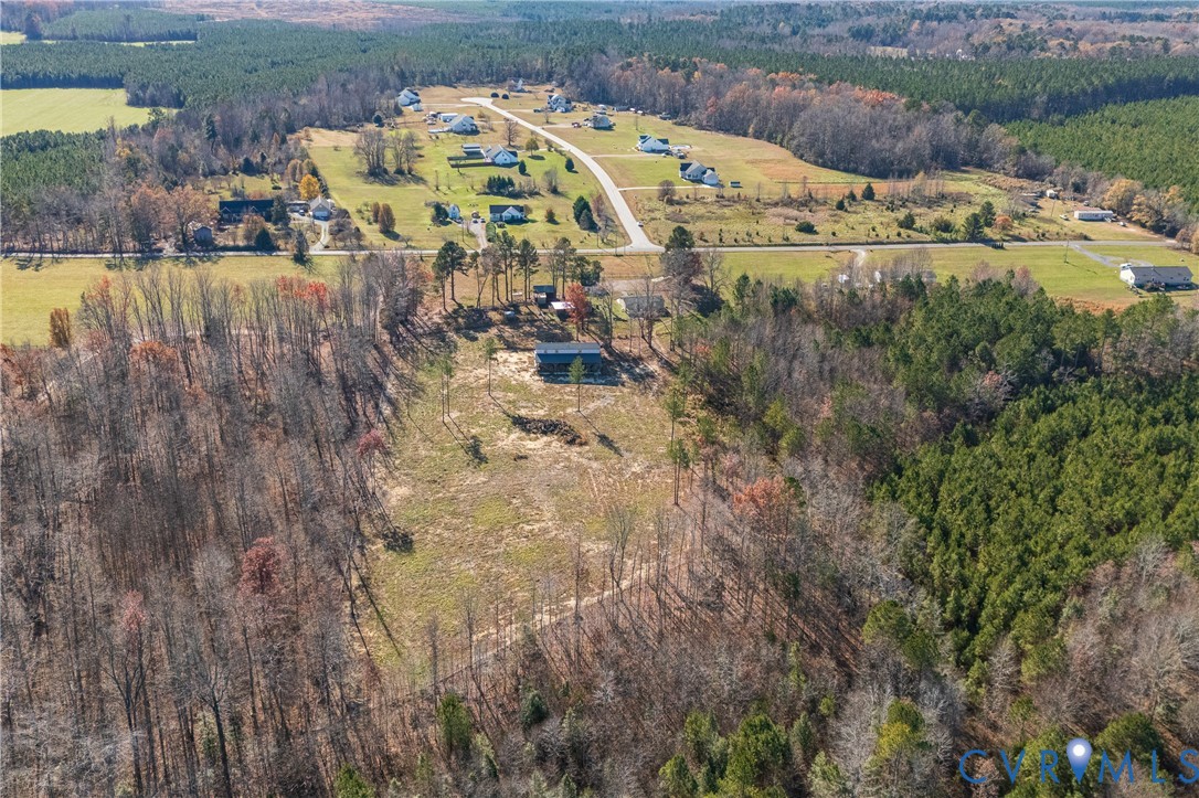 14306 Wilkinson Road Dewitt, VA 23840 - Photo 54 of 60 Expansive wooded parcel offering significant tree