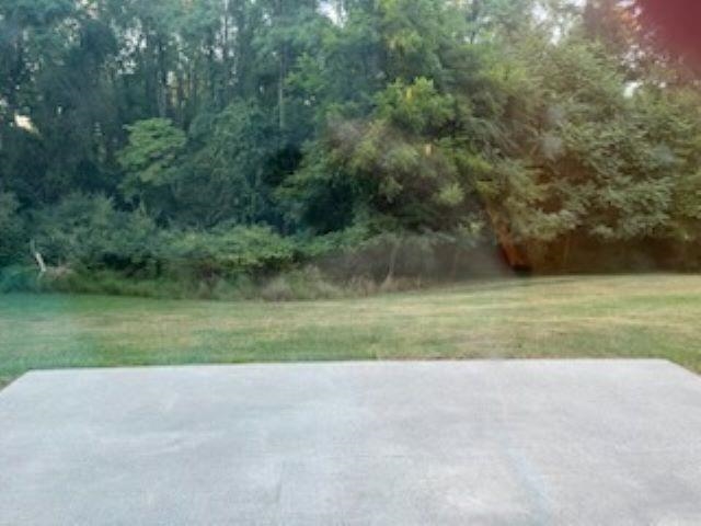 204 Stover Shop Road Churchville, VA 24421 - Photo 51 of 52 a view of a field of grass and trees