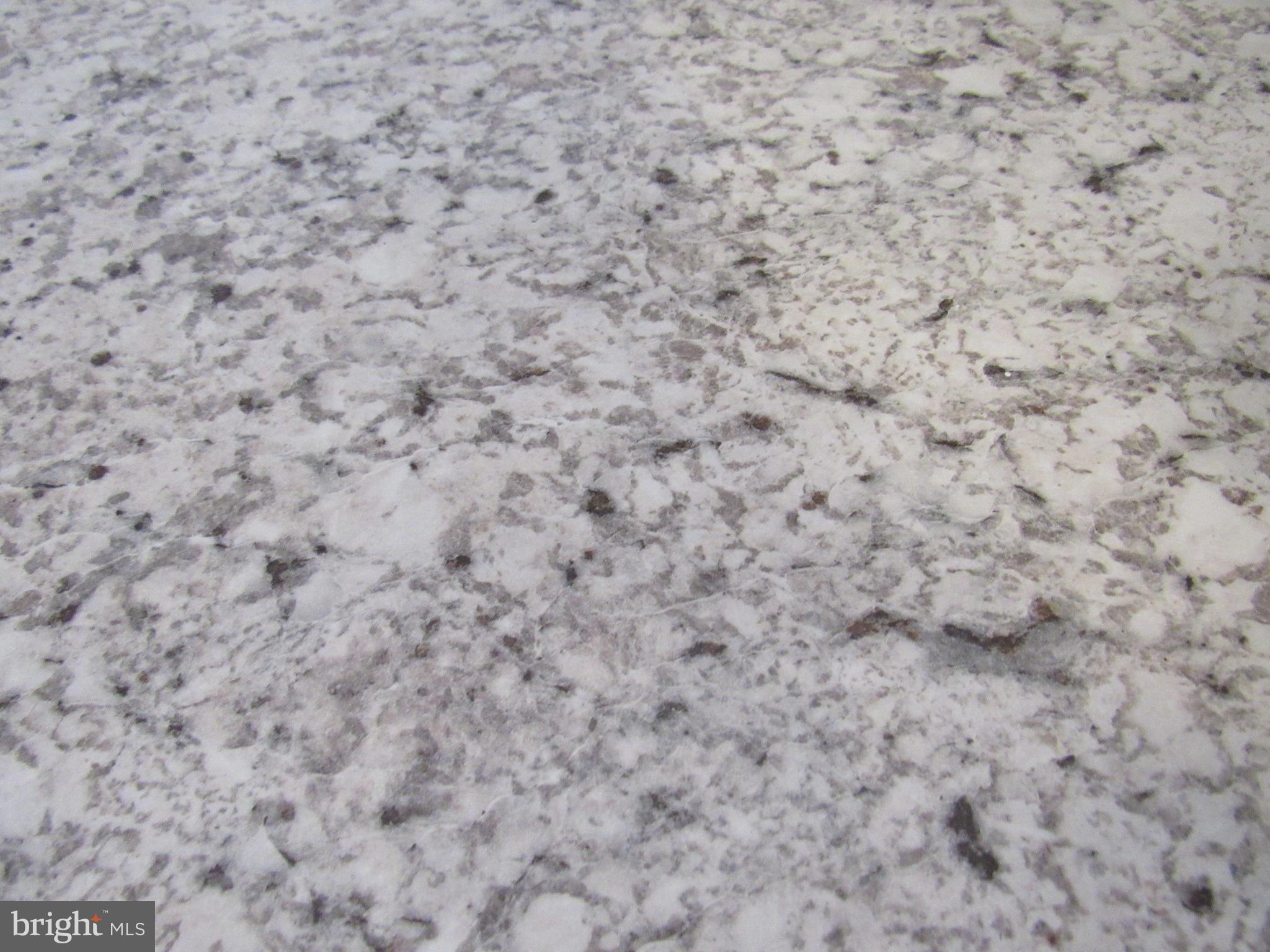 402 Pine Street Laurel, DE 19956 - Photo 15 of 84