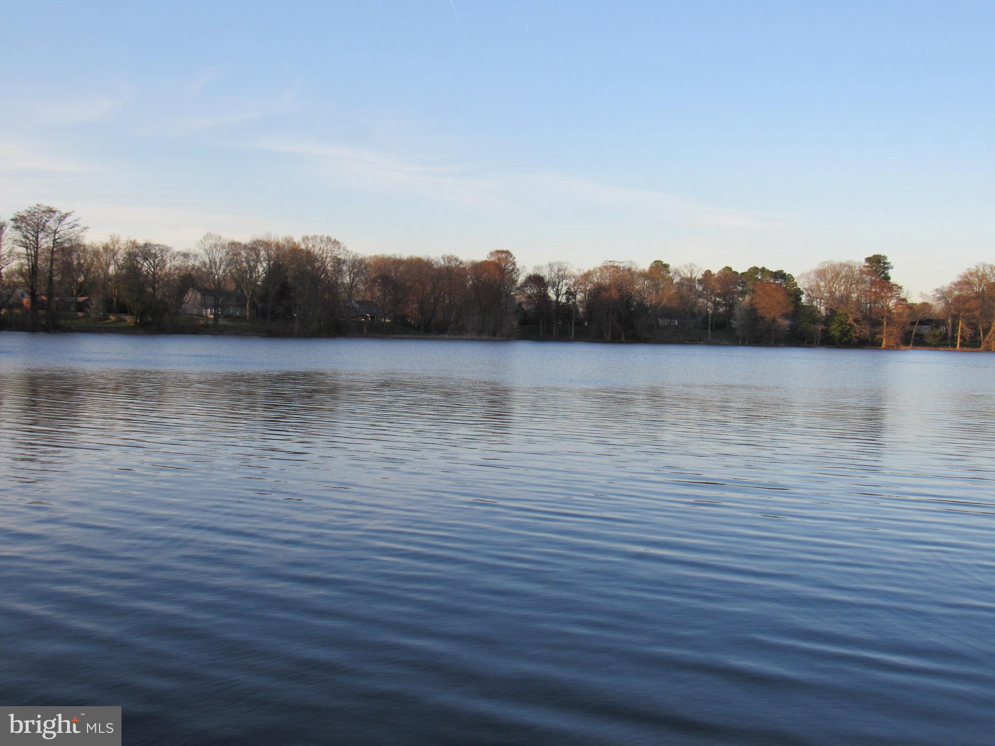402 Pine Street Laurel, DE 19956 - Photo 4 of 84 Beautiful View