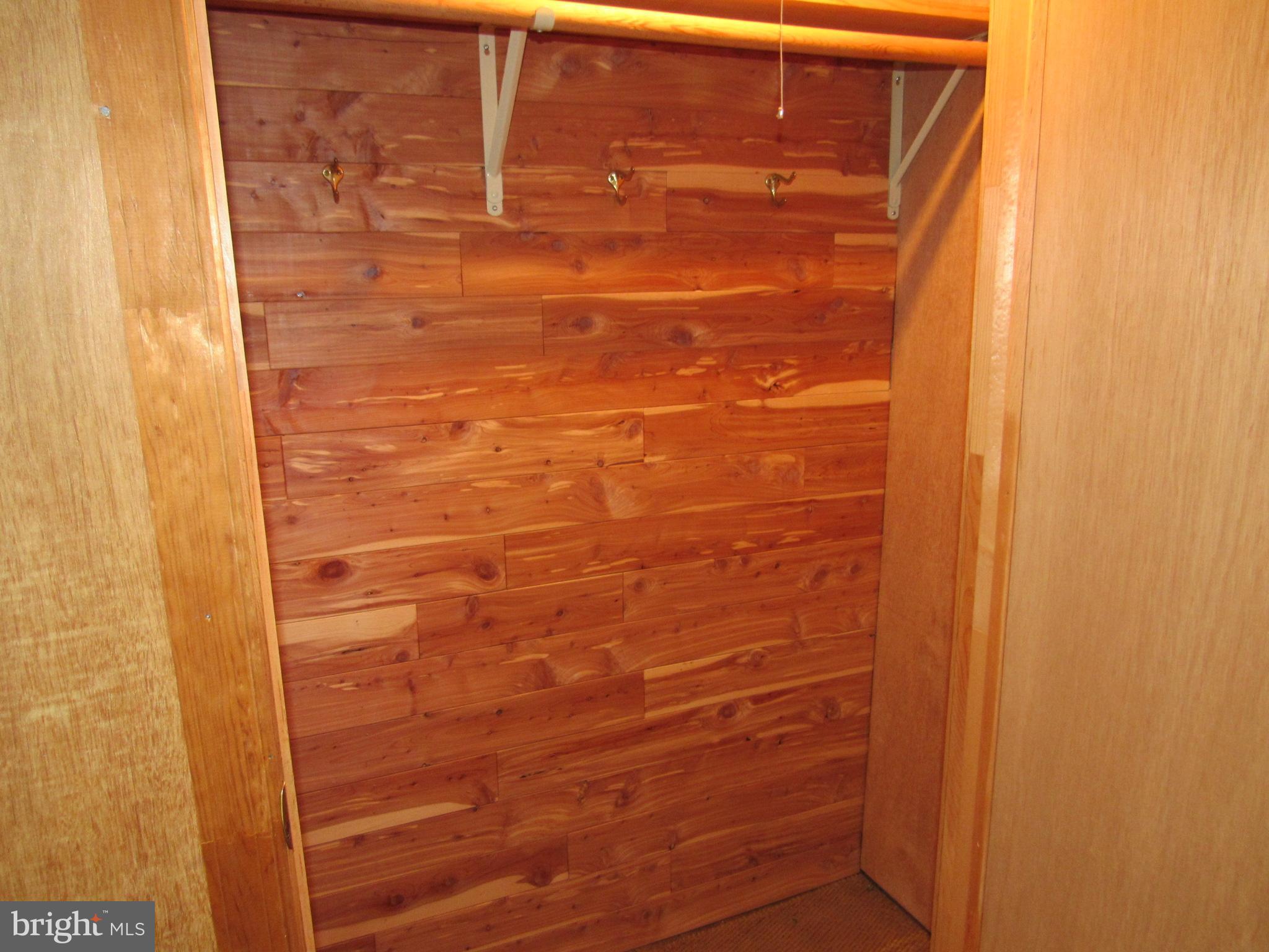 402 Pine Street Laurel, DE 19956 - Photo 44 of 84 Cedar Closet
