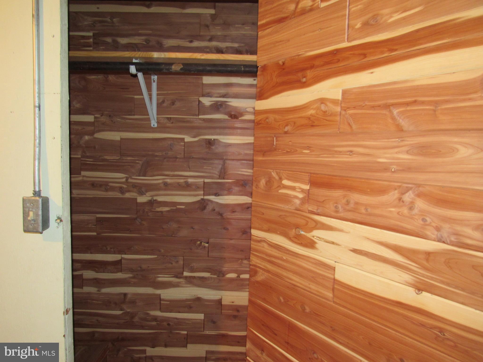 402 Pine Street Laurel, DE 19956 - Photo 45 of 84 Another Cedar Closet