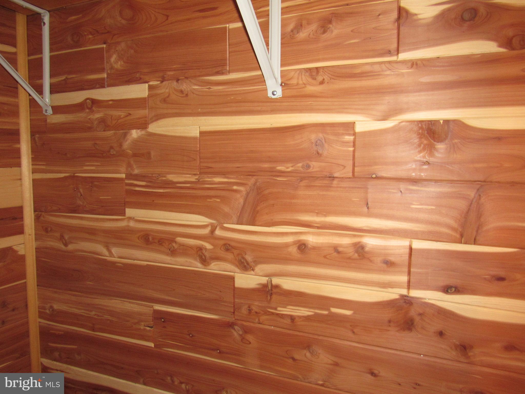 402 Pine Street Laurel, DE 19956 - Photo 46 of 84 Another view of the Cedar