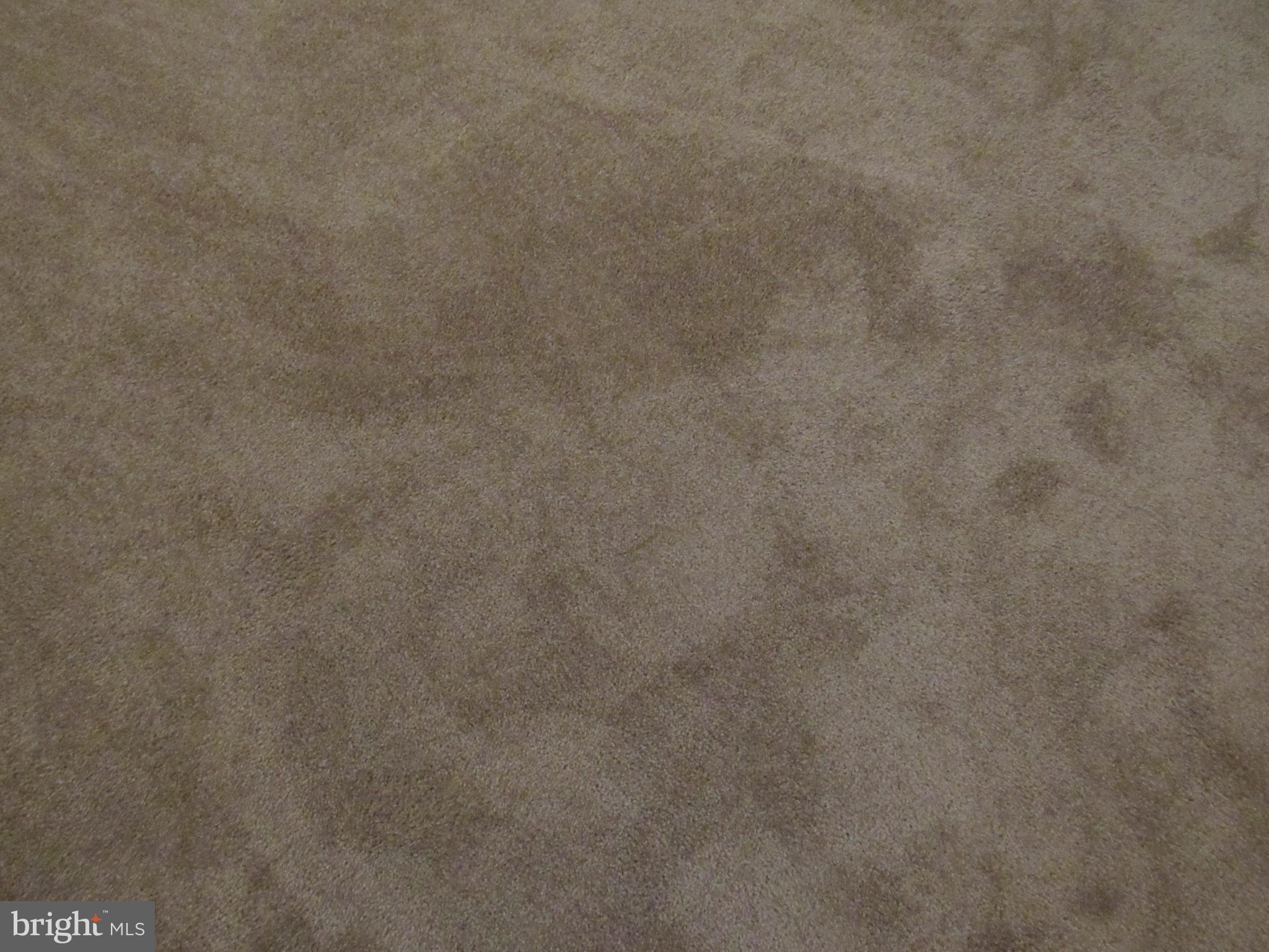 402 Pine Street Laurel, DE 19956 - Photo 49 of 84 New Carpet