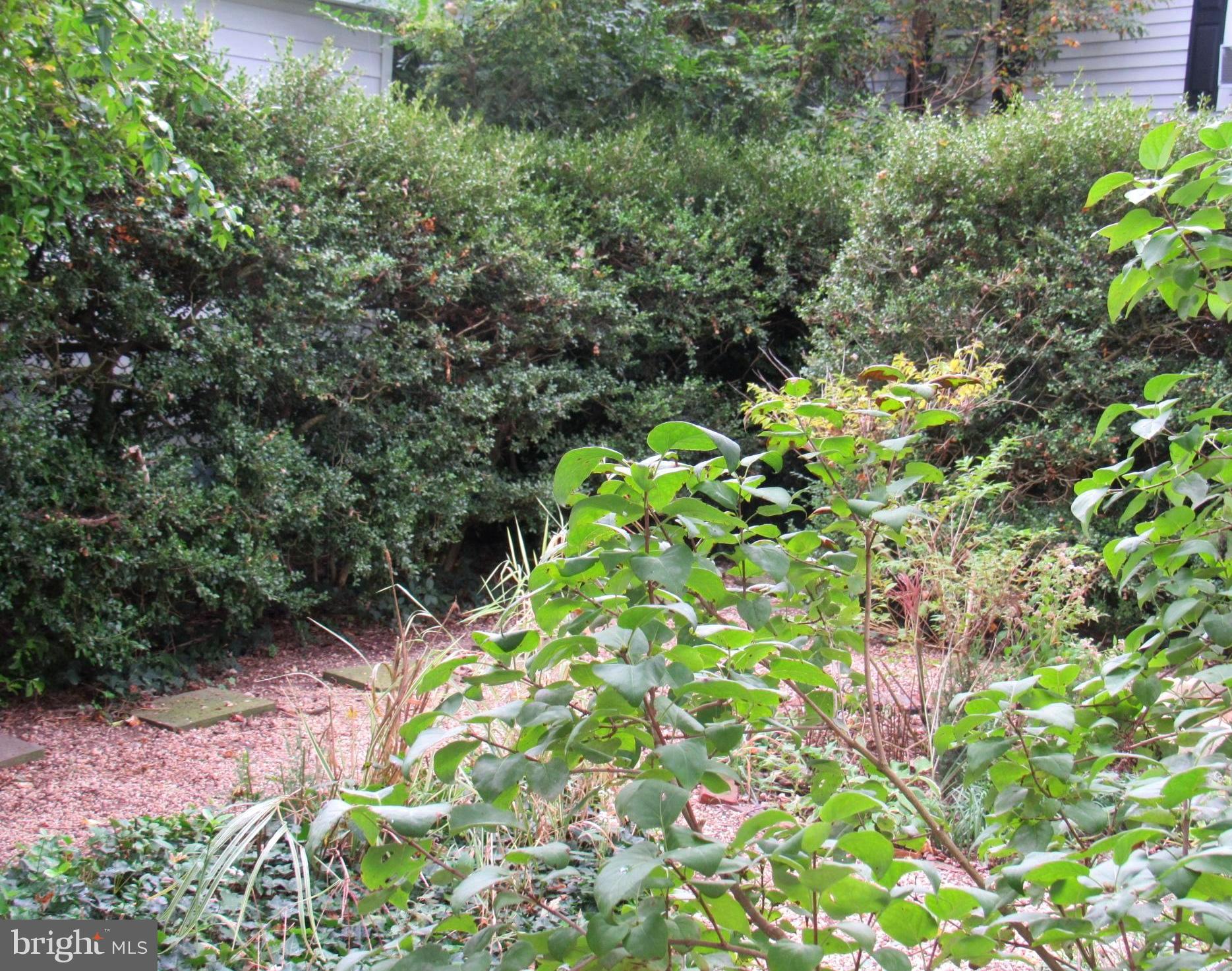 402 Pine Street Laurel, DE 19956 - Photo 57 of 84 In Town Seclusion - Private Garden