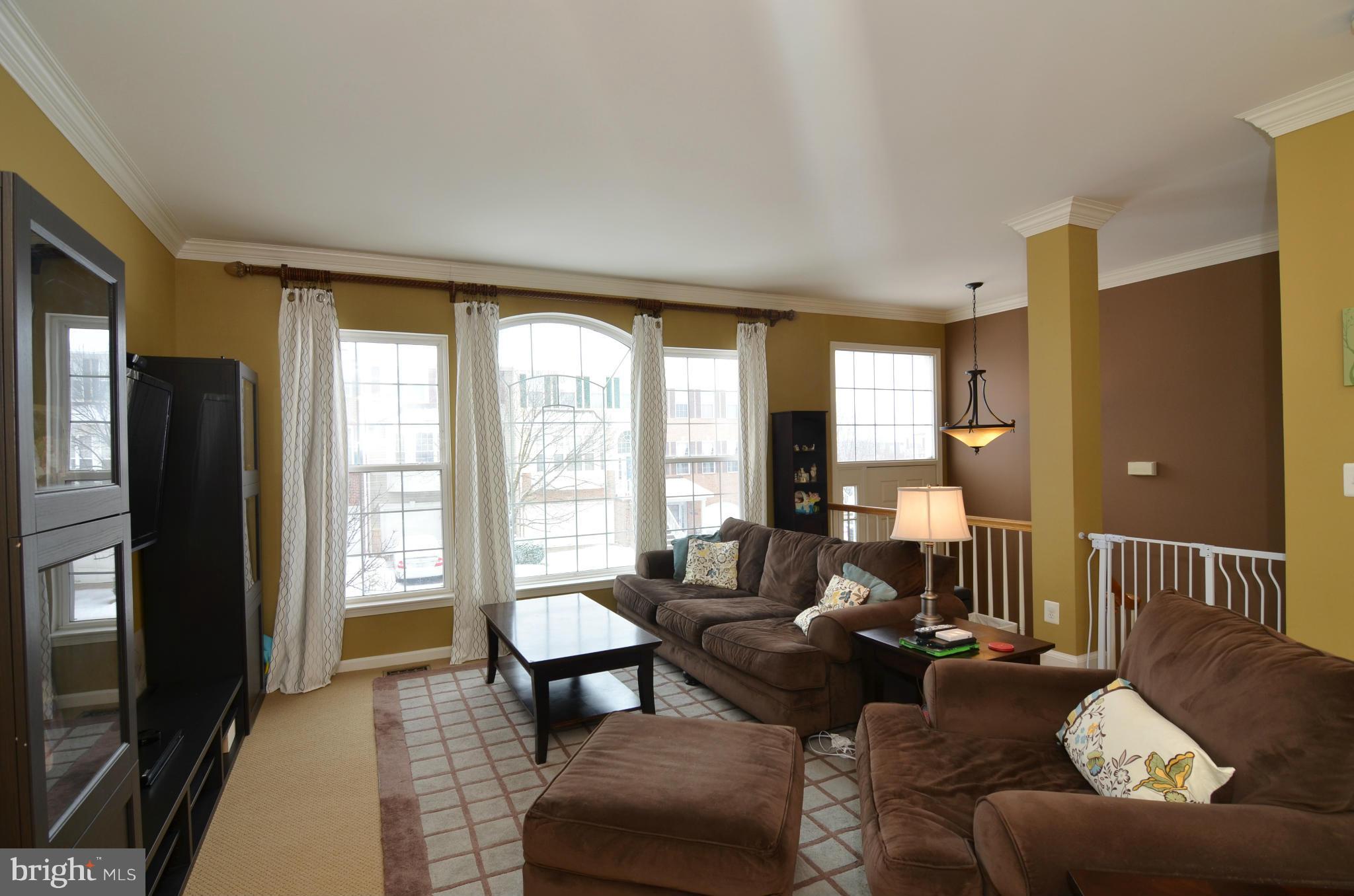 44037 Rising Sun Terrace Ashburn, VA 20147 - Photo 3 of 17 Living Room