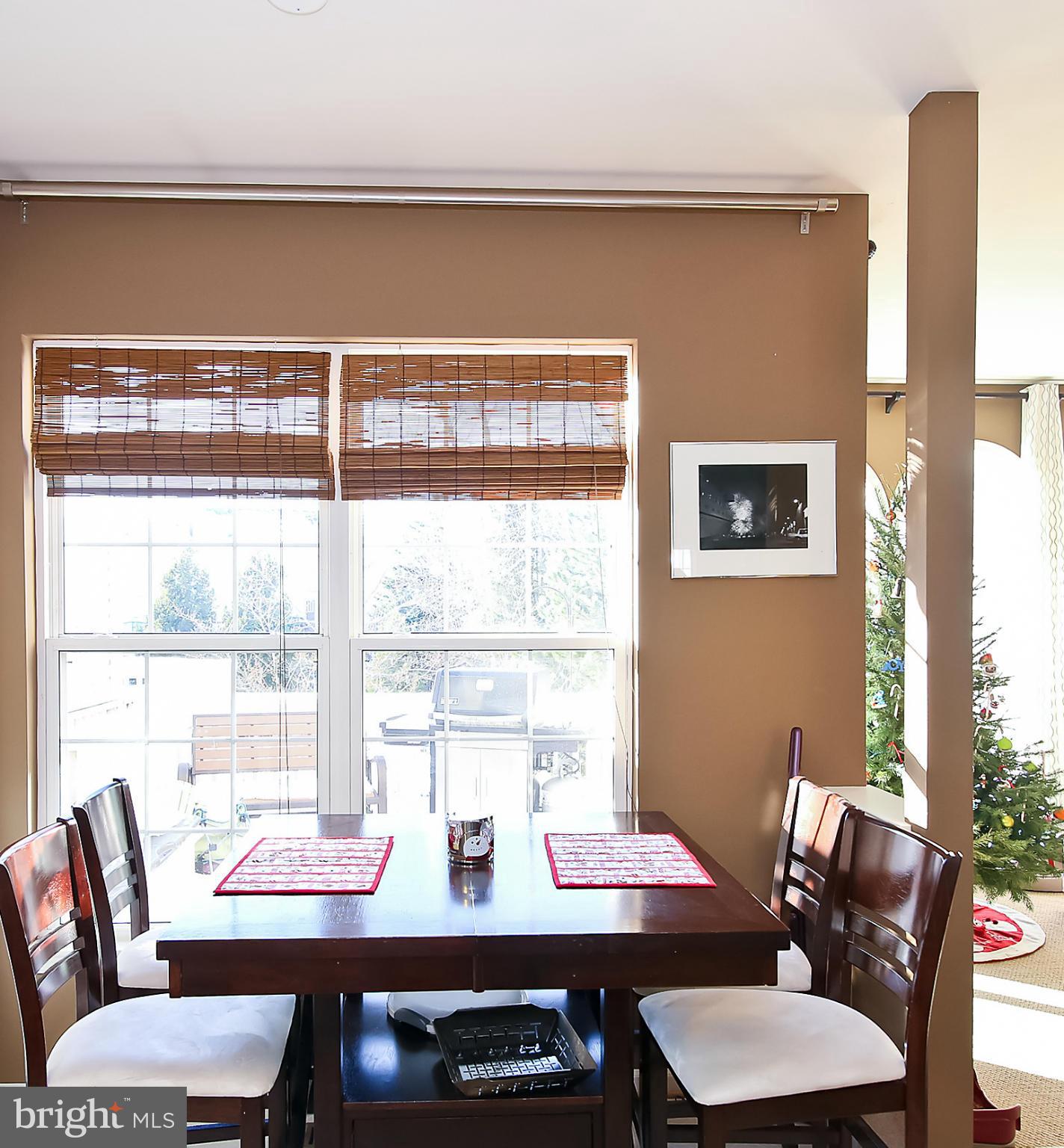 44037 Rising Sun Terrace Ashburn, VA 20147 - Photo 8 of 17 Interior (General)