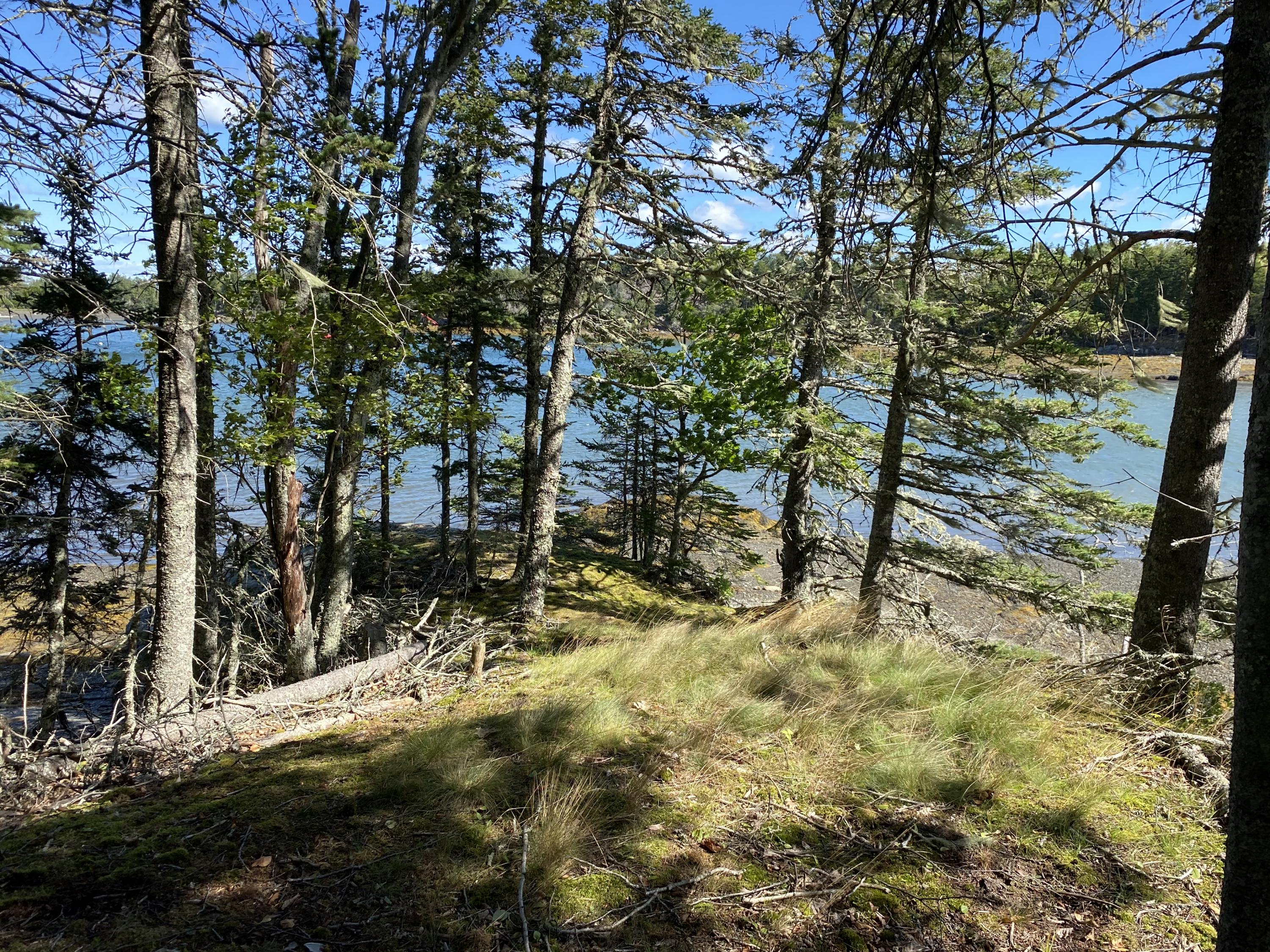 0 West Bay Road Islesboro, ME 04848 - Photo 15 of 60 IMG_1552