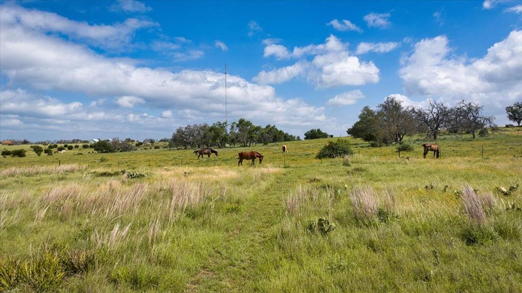 449 Jung Road Harper, TX 78631 - Photo 43 of 50