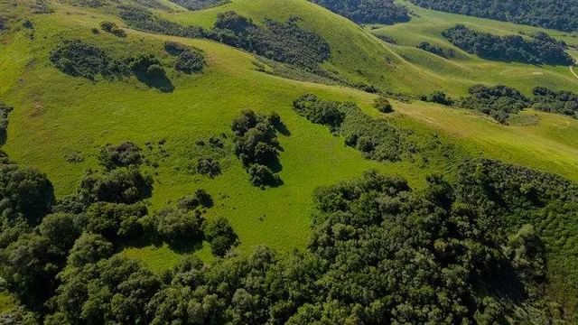 an aerial view of residential houses with outdoor space and trees all around