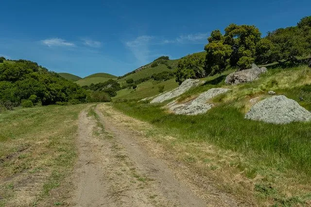 a view of a field with an ocean