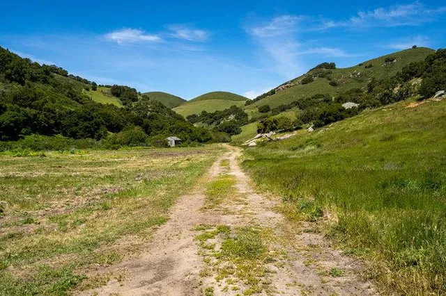 a view of a yard with a garden