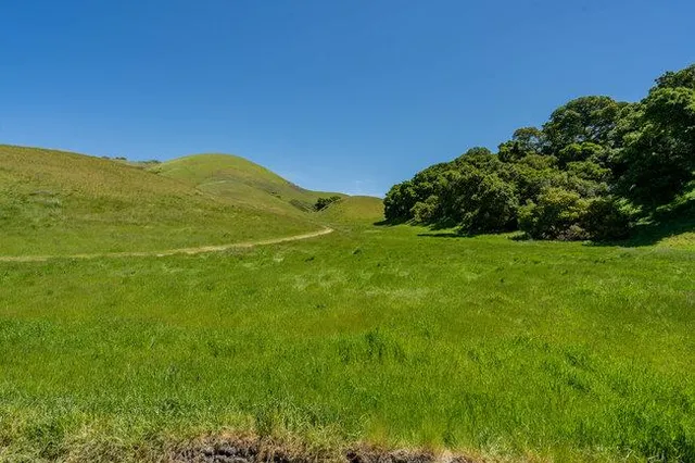 a view of a mountain