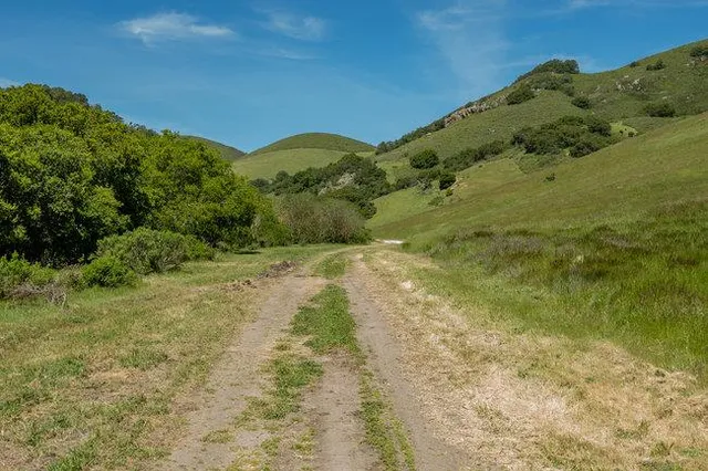 a view of a lake with a mountain in the background
