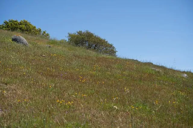 an aerial view of a houses with a lush green hillside