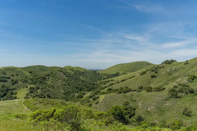 a view of a lush green hillside and houses