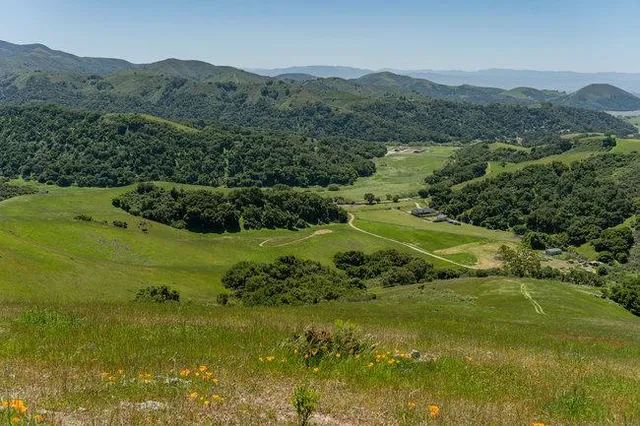 a view of a field with an ocean