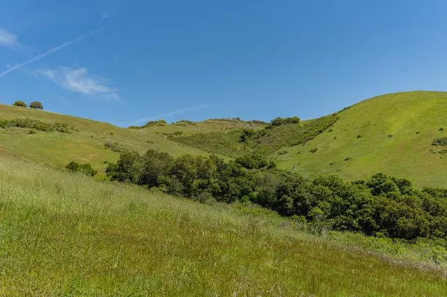 a view of a field with an trees