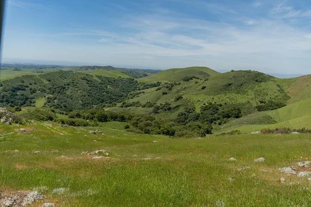 a view of a field with an ocean view