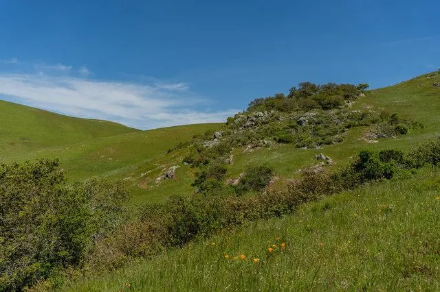 a view of a lake with a yard
