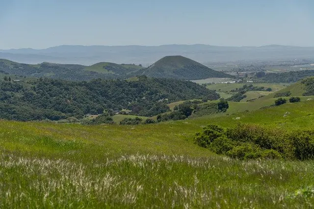 a view of a field with an ocean