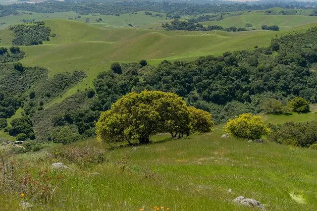 a view of lake with mountain