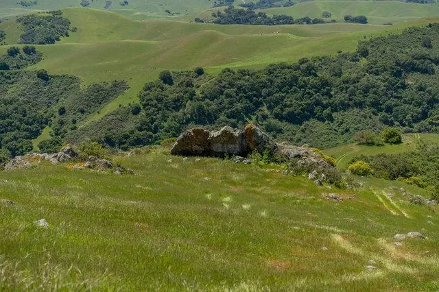 a view of an ocean from a mountain