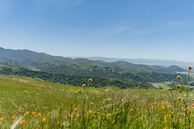 a view of a green field