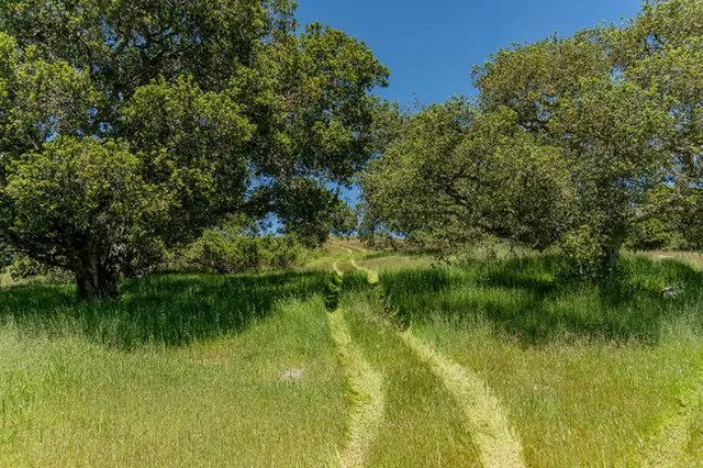 a view of a lake view with a garden