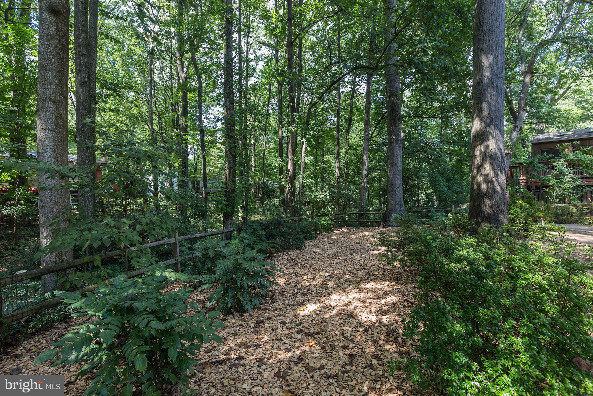 11570 Embers Court Reston, VA 20191 - Photo 26 of 30 a view of a forest with trees in the background