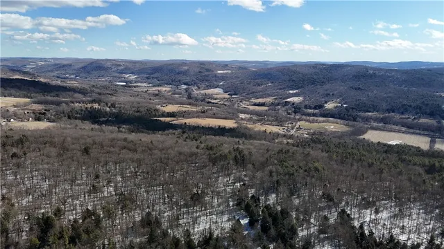 $225,000 | Patent Line Road, Franklin, NY 13775