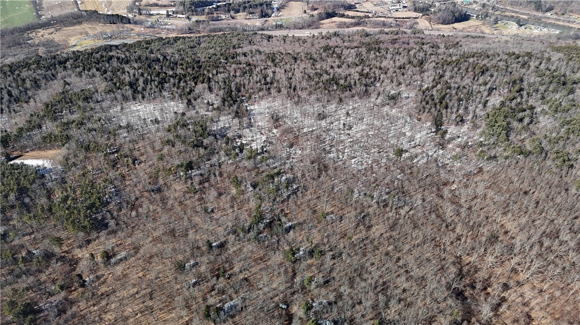 Patent Line Road Franklin, NY 13775 - Photo 11 of 29