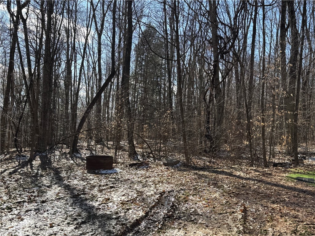 Patent Line Road Franklin, NY 13775 - Photo 12 of 29