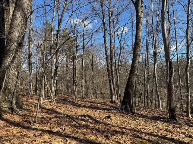 $225,000 | Patent Line Road, Franklin, NY 13775