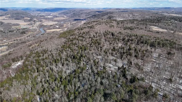 $225,000 | Patent Line Road, Franklin, NY 13775