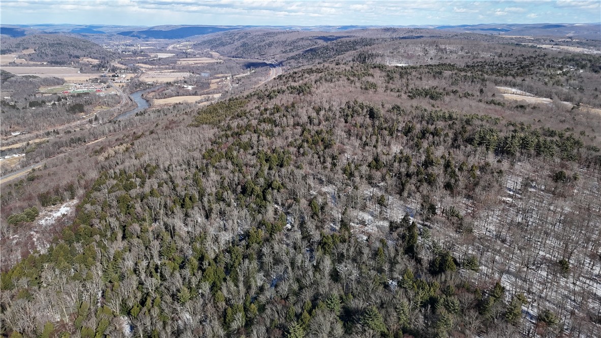 Patent Line Road Franklin, NY 13775 - Photo 14 of 29