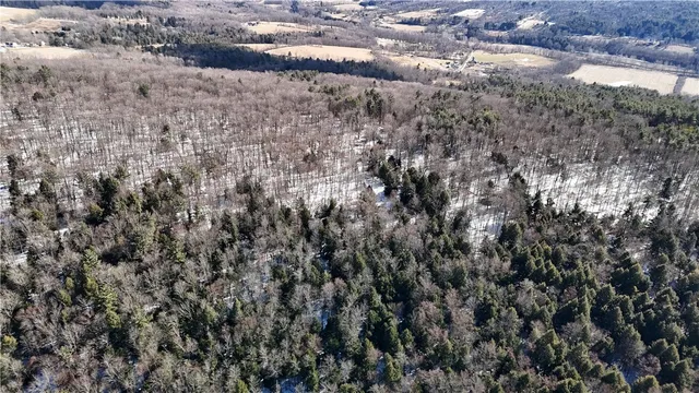 $225,000 | Patent Line Road, Franklin, NY 13775