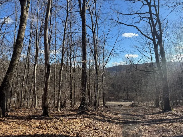 $225,000 | Patent Line Road, Franklin, NY 13775