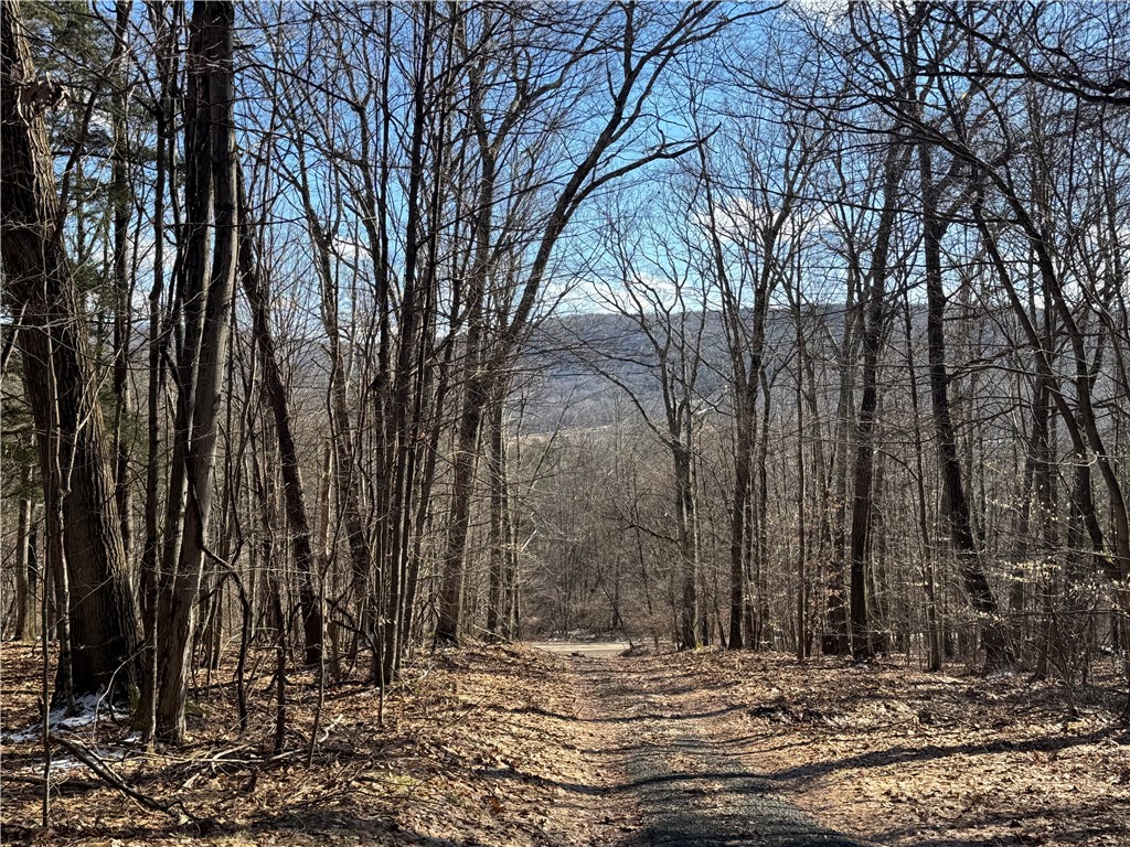 Patent Line Road Franklin, NY 13775 - Photo 19 of 29