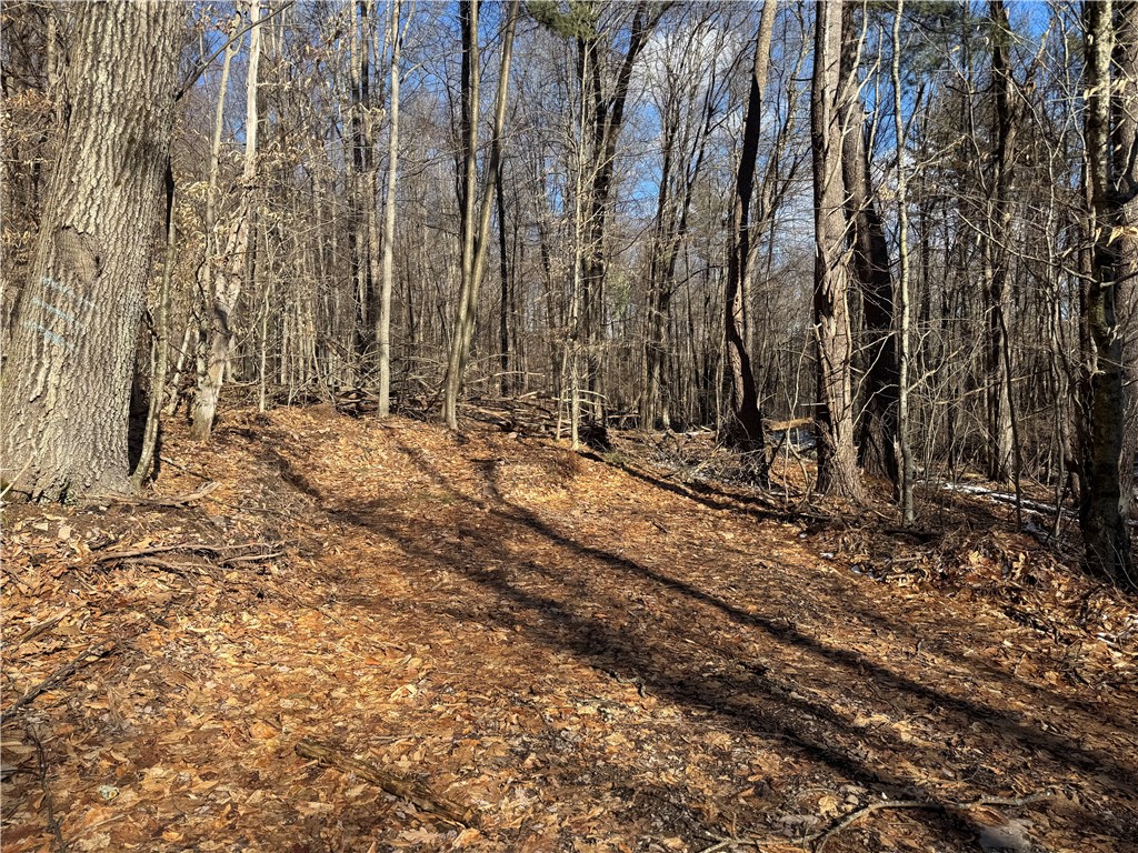 Patent Line Road Franklin, NY 13775 - Photo 20 of 29