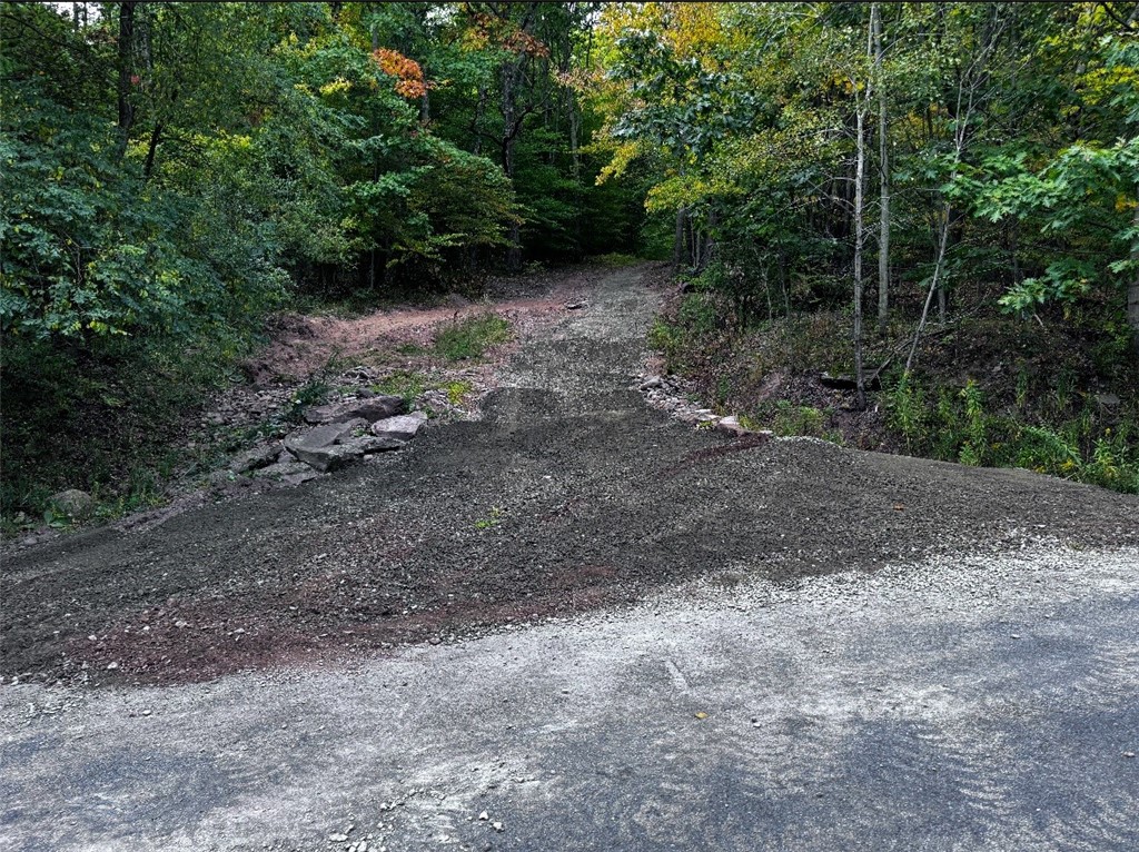 Patent Line Road Franklin, NY 13775 - Photo 2 of 29